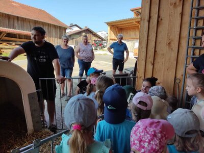 Kindergartenkinder entdecken Bauernhof