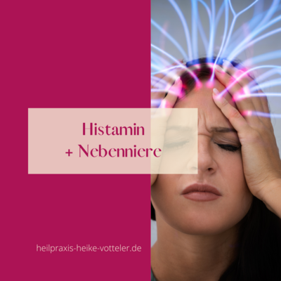 BlogBeitrag: Histamin und Nebenniere (Bild vergrößern)