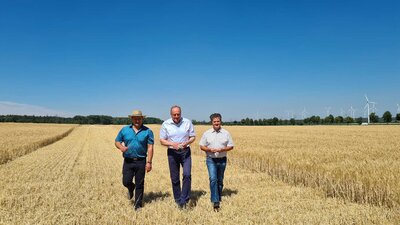 Ernteauftakt mit Bauernpräsident Joachim Rukwied (Mitte), Gastgeber Landwirt Heiko Terno (links) und dem Vorsitzenden des Bauernverbandes Südbrandenburg Thomas Goebel (rechts)
