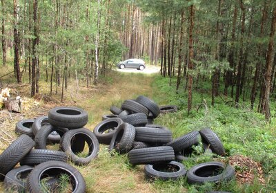 Illegale Müllentsorgung im Wald - Landkreis bittet Bevölkerung um Mithilfe