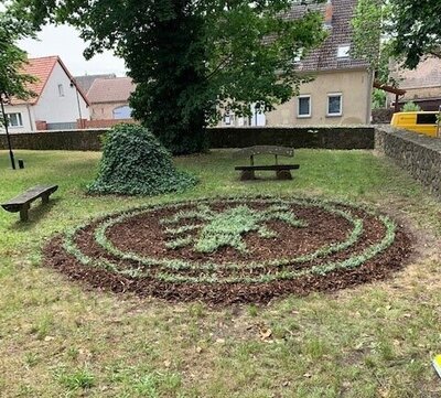 Foto zur Meldung: Wiederholte Neupflanzung der Zisterzienser-Lilie in Werder vor der Kirche