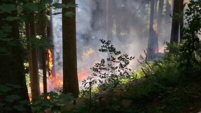 Meldung: Landratsamt warnt vor andauernder Waldbrandgefahr durch langanhaltende Wärme und Trockenheit