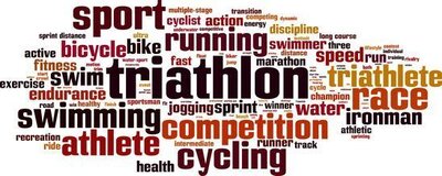 Triathlon (Bild vergrößern)