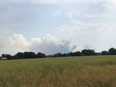 Waldbrand bei Beelitz (Bild vergrößern)