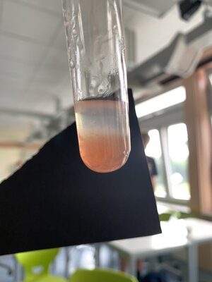Q1-Leistungskurs Biologie (Bild vergrößern)