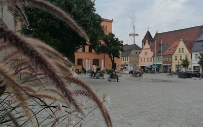 Der Marktplatz in Luckau. Hierhin ist der Wochenmarkt zurückgekehrt. Foto: Dörthe Ziemer