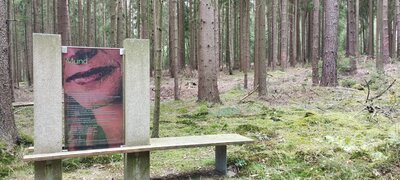 Waldbesinnungspfad Resl von Konnersreuth (Bild vergrößern)
