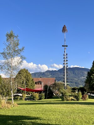 Umzug ins Haus der Gesundheit (Bild vergr&ouml;&szlig;ern)