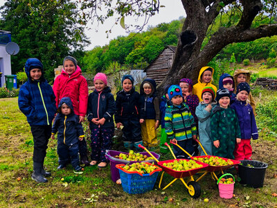 Foto zur Meldung: Lauderter Kindergartenkinder tauschen Äpfel gegen Saft