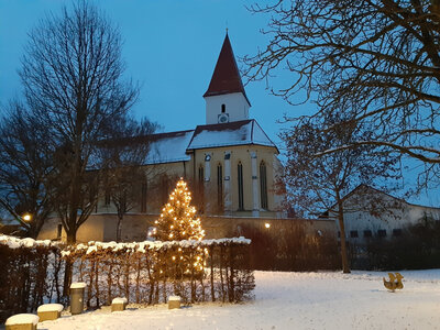 Um Strom zu sparen, werden die von der Gemeinde aufgestellten Christbäume, wie hier am Dorfplatz in Pollenfeld, in der diesjährigen Weihnachtszeit nur stundenweise leuchten. (Bild vergrößern)