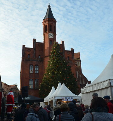 Stadt Perleberg | Ansicht auf geschmückten Weihnachtsbaum, dahinter das Rathaus.