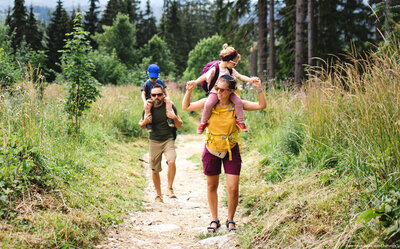 Die Tourismus-Kooperationsgemeinschaft Sinsheimer Erlebnisregion veranstaltet ihren ersten Wandertag.