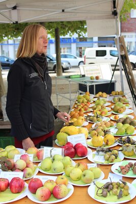 Apfelmarkt lockte zahlreiche Gäste in die Wittenberger Innenstadt (Bild vergrößern)