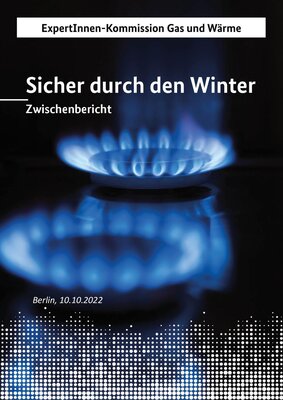 Zwischenbericht der Expertenkommission Gas und Wärme