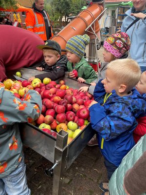Foto zur Meldung: Von der Frucht ins Glas -Apfelsaftpressen in der Johanniter-Kita Wichtelburg
