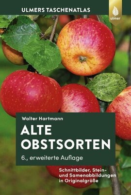 Alte Obstsorten - Schnittbilder, Stein- und Samenabbildungen in Originalgröße