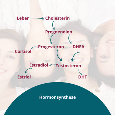 BlogBeitrag: Hormone und Krankheiten