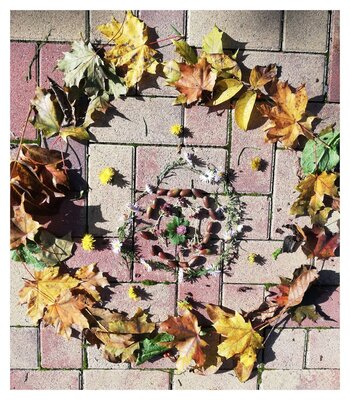 Herbstliche Bilder