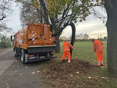 Meldung: Aktuelle Informationen zur Laubentsorgung der „Straßenbäume“ im Gemeindegebiet Hoppegarten