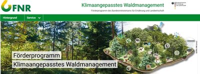 Klimaangepasstes Waldmanagement (Bild vergrößern)