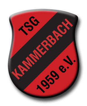 TSG Kammerbach 1959 e.V. - Investition in die Zukunft - LED Umrüstung