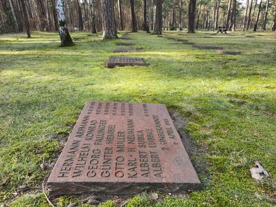Grabplatte auf dem Waldfriedhof Halbe. Foto: Karen Ascher