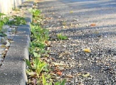 Entfernen von Laub, Gras, Schmutz in Straßenkandeln