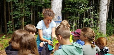 Meldung: WaldmedizinerInnen bei der Arbeit