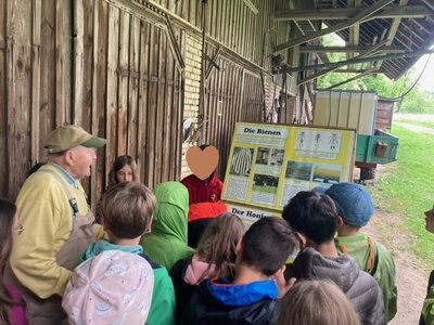 Meldung: Klasse 3 macht einen Ausflug nach Gunzenweiler ins Bienenmuseum zu Anton Feiner