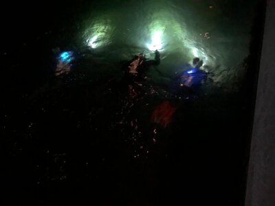 Divers Night 2022 (Bild vergrößern)