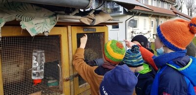 Meldung: Die Klasse 2 konnte bei Karl Christ gesegnete Hasen entdecken.