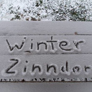 Foto zur Meldung: Winter in Zinndorf 2022