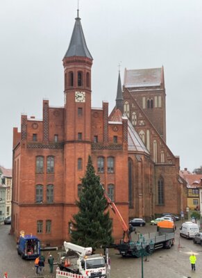 Rolandstadt Perleberg | Mitarbeiter des Stadtbetriebshofes und der Firma Schröder Transporte navigieren den Baum vom Tieflader.