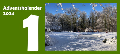 Blick über den verschneiten Parkteich (Bild vergr&ouml;&szlig;ern)