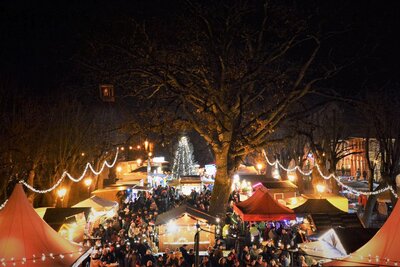 Programm und Informationen zum Storkower Weihnachtsmarkt: (Bild vergrößern)