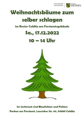 Weihnachtsbäume direkt aus dem heimischen Wald