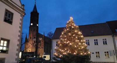Weihnachtsbaum auf dem Niemegker Marktplatz Quelle: Amt Niemegk