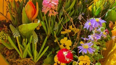 Meldung: Frauentag ist Blumentag