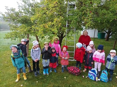 Foto zur Meldung: Apfelprojekt im Kindergarten St. Martin