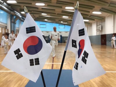 Sek. Taekwondo: Kup-Prüfung II/2022