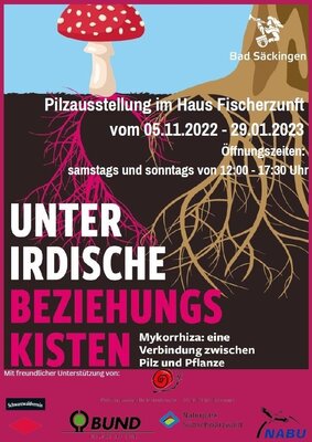 Pilzaustellung im Haus Fischerzunft vom 05.11.2022 - 29.01.2023