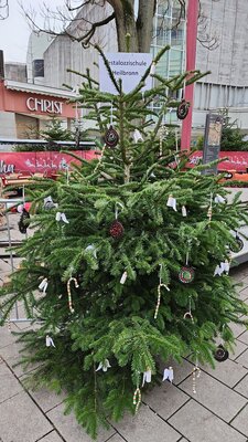 Der Pestalozzi-Weihnachtsbaum