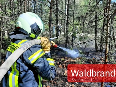 Auch die Kameraden der Freiwilligen Feuerwehr Calau sowie der Ortswehren mussten 2022 zu vielen Waldbränden ausrücken. Foto: Symbolbild, Feuerwehr Calau (Bild vergrößern)