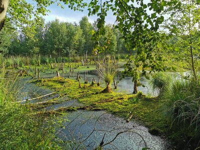 Zukunft der Moorstandorte in Niedersachsen (Bild vergrößern)