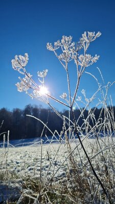 Winterimpressionen aus Neu-Eichenberg (Bild vergrößern)