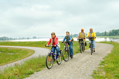 Fahrradfahrer auf dem Elberadweg I Foto: Bildarchiv Tourismusverband Prignitz