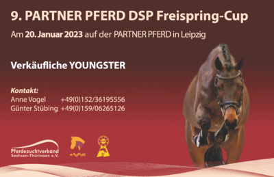 9. PARTNER PFERD DSP Freispring-Cup am 20. Januar 2023