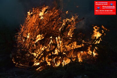 Foto zur Meldung: Der Baum brannte in Quitzow