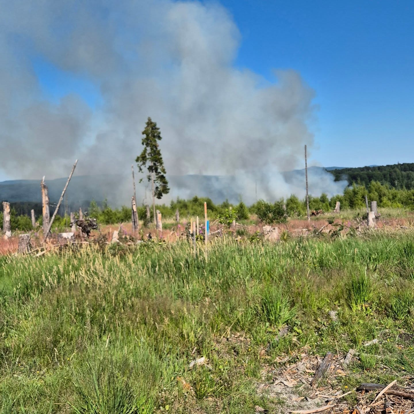 Waldbrand Reinhardswald