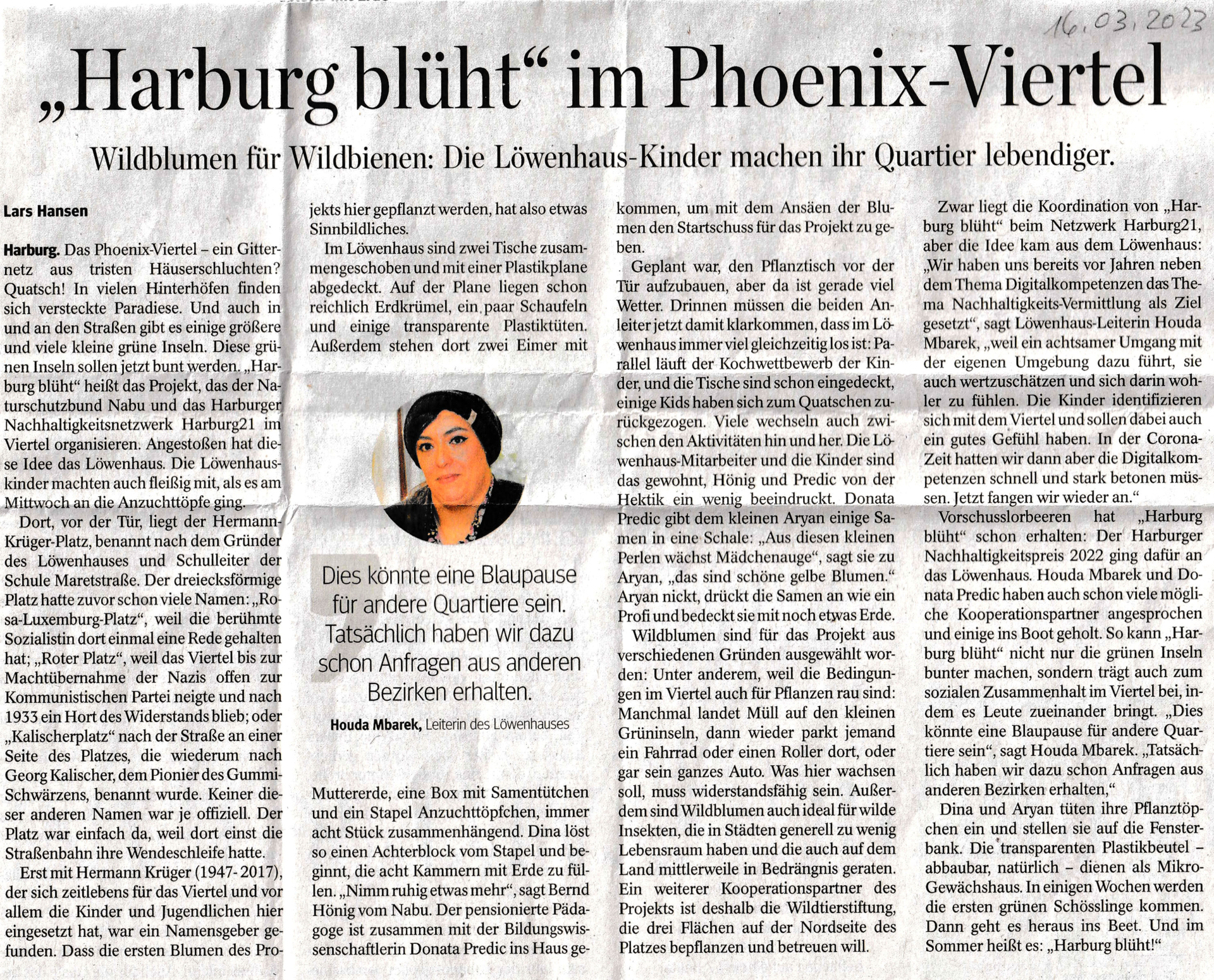 230216_Harburg_blueht_ha_2